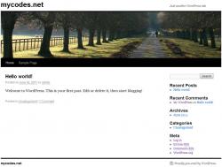 WordPress 4.9.1 Ӣİ