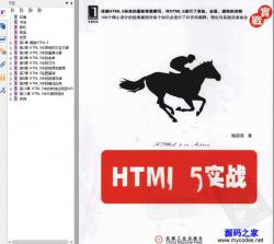 HTML5ʵս PDF